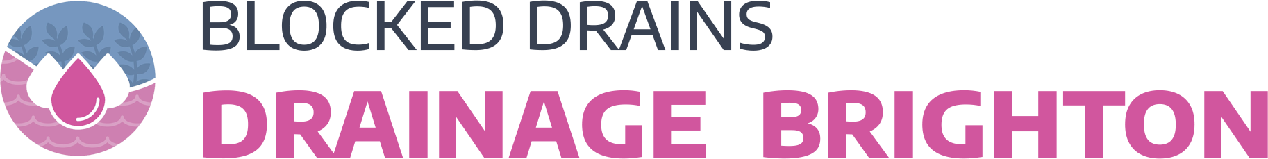 website logo